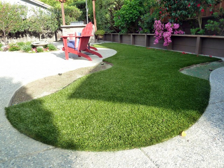 Lawn Services Fillmore, Utah Dog Park, Backyard Landscape Ideas