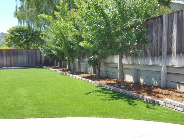 Lawn Services Levan, Utah Lawns, Backyard Designs