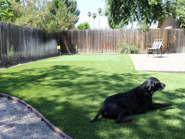 Lawn Services Manti, Utah Lawn And Landscape, Small Backyard Ideas