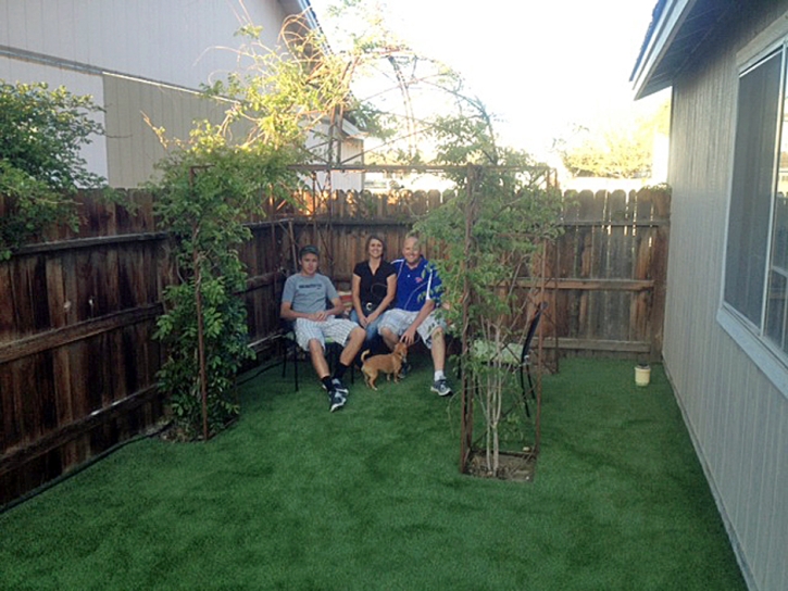 Lawn Services Veyo, Utah Pet Turf, Grass for Dogs