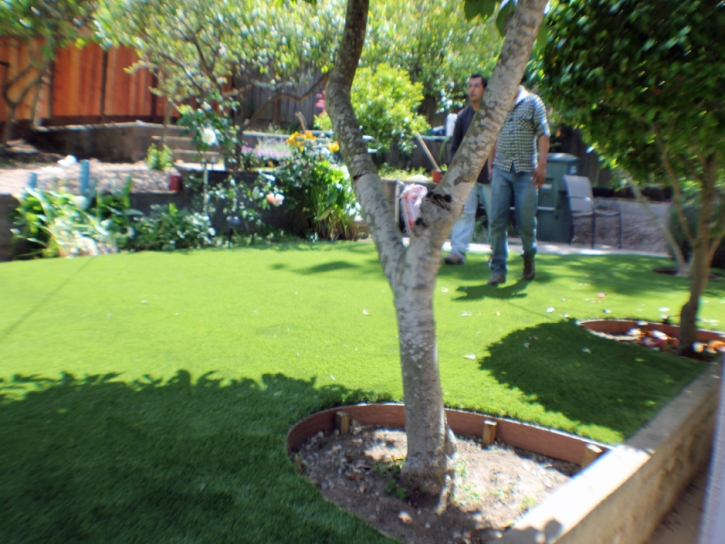 Outdoor Carpet Beaver, Utah Landscaping Business, Backyard Designs