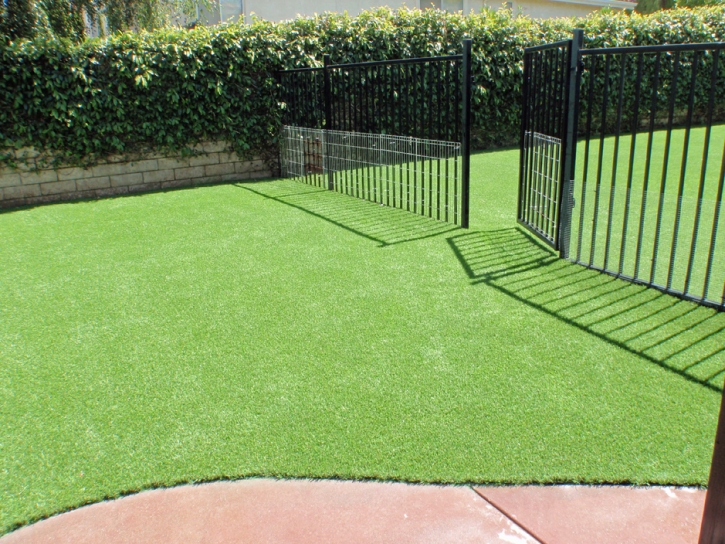 Outdoor Carpet Cedar Hills, Utah Rooftop, Front Yard Design