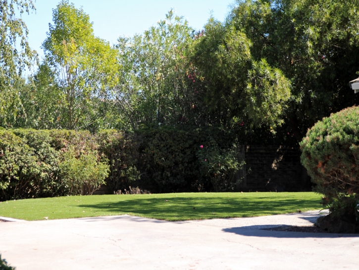 Outdoor Carpet Hyde Park, Utah Landscape Photos, Small Front Yard Landscaping