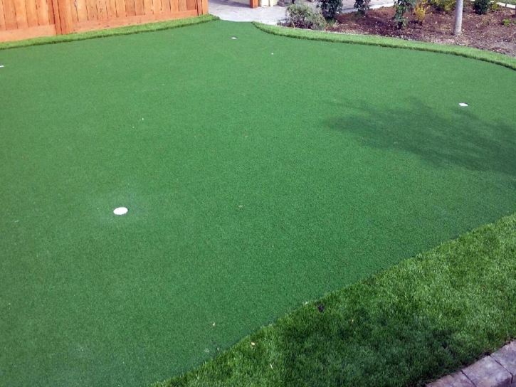 Outdoor Carpet Riverside, Utah Best Indoor Putting Green