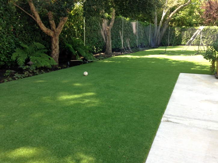 Plastic Grass Oakley, Utah Landscaping Business