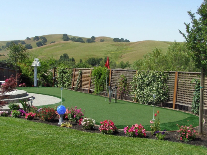 Synthetic Grass Cost Cannonville, Utah Indoor Putting Greens, Backyard Designs