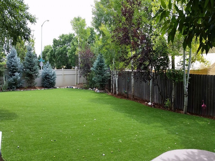 Synthetic Grass Cost South Salt Lake, Utah Pictures Of Dogs, Backyard Design