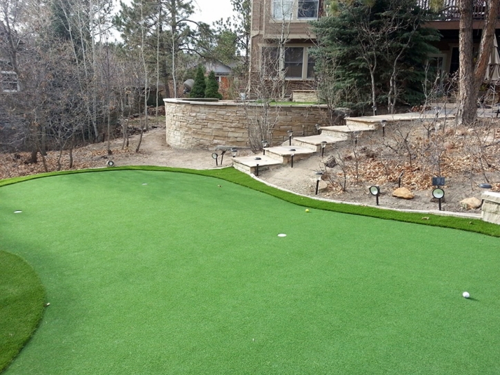 Synthetic Turf Brigham City, Utah Putting Green Flags, Small Backyard Ideas