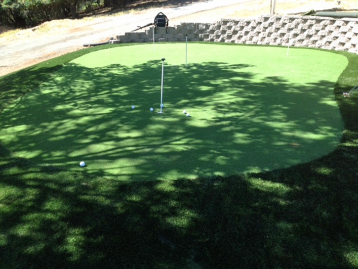 Synthetic Turf North Salt Lake, Utah Best Indoor Putting Green, Backyard Garden Ideas