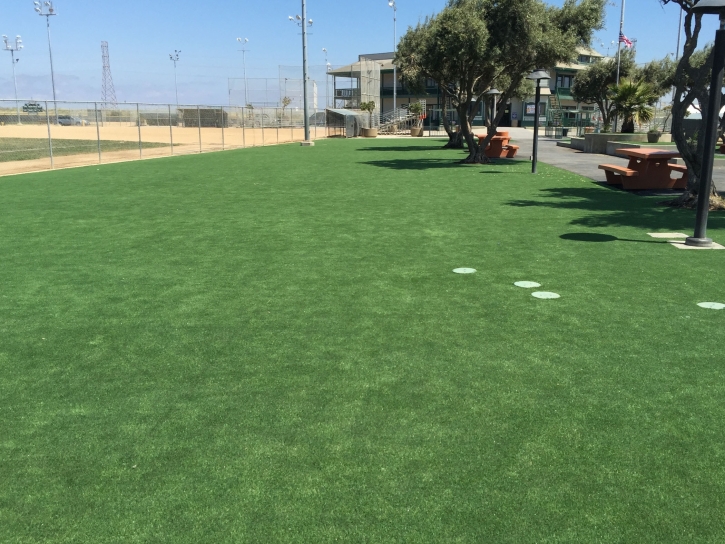 Synthetic Turf Supplier Goshen, Utah Lawn And Garden, Recreational Areas