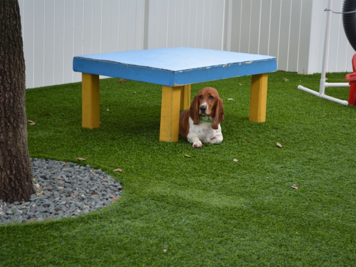 Turf Grass Wolf Creek, Utah Dog Park, Commercial Landscape